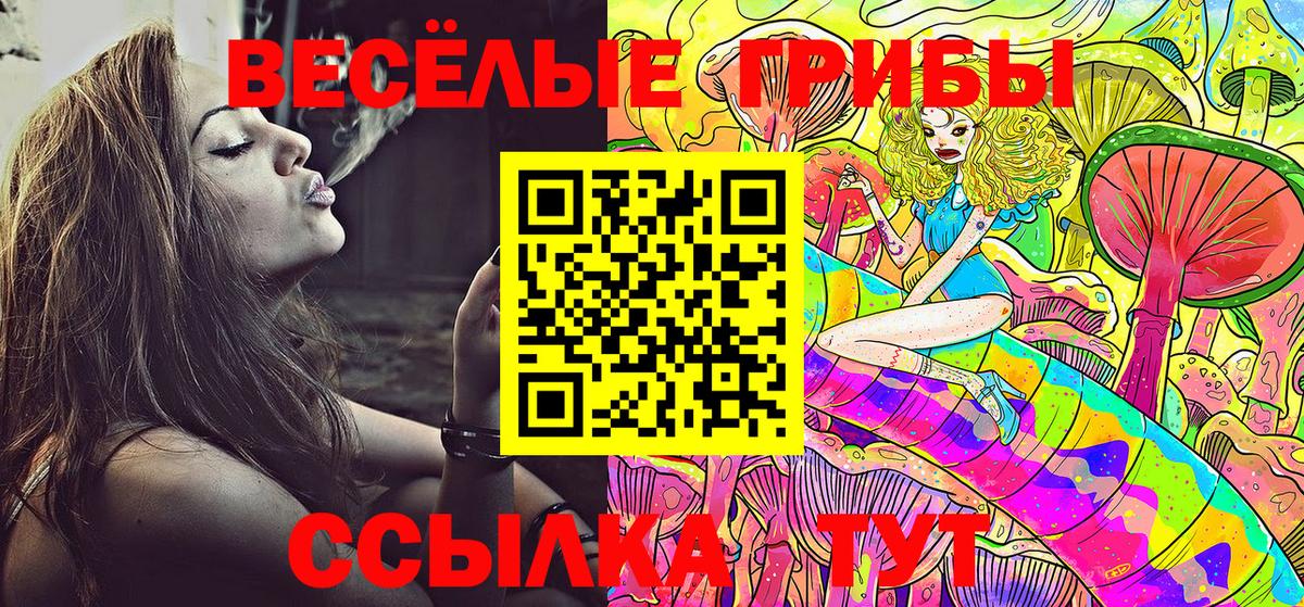 Ессентуки  Псилоцибиновые грибы прущие грибы  Вход с VPN 