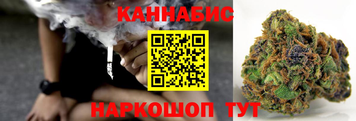 Бошки марихуана план Ессентуки